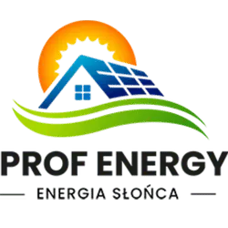 Prof Energy logo